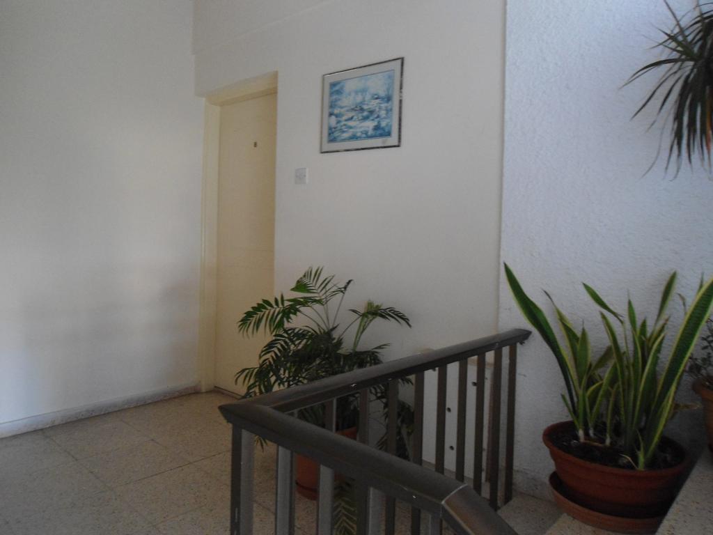 Terpsithea Apartments Agia Napa Zimmer foto